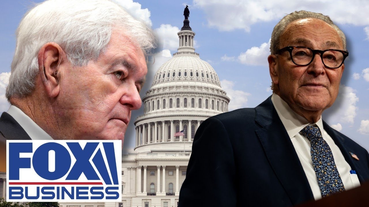 Newt Gingrich: Democrats are holding the country hostage