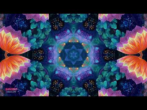 Hz 40 | NO ZOMBIES ZONE | AGGRESSIVE ELECTRONIC CHAOS