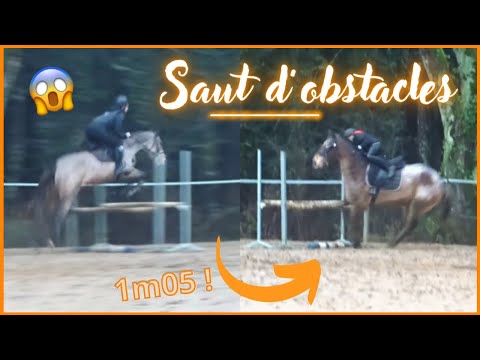 [COURS] Saut d'obstacles (CHUTE ?)😅 - 14/01/23 - CS'o Landreau