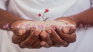 咲いた花を枯らせないように