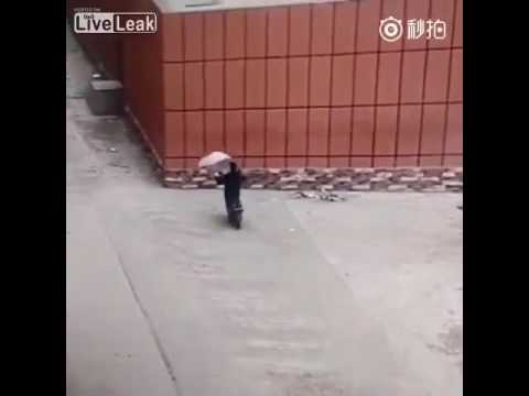 IDIOT USES UMBRELLA WITH A SCOOTER--THE DARWIN AWARDS