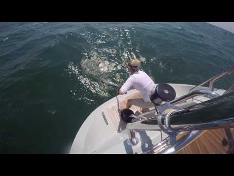 Oyster 725 On Liberty - America Cruising Part 1