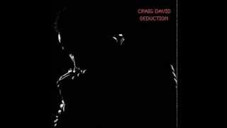 Craig David - Seduction [New R&amp;B 2014]