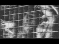 Don Felder - All of you 