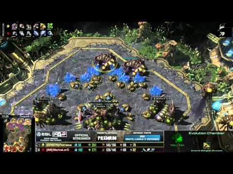 Go4SC2 DEC Premium 3 - Finals - Petraeus (Z) vs MarineLord (T) - G2