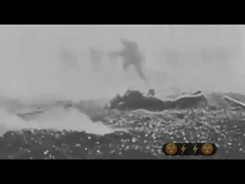 Grollfried - Giftstunk