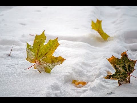 Lee Tonya    -   Тебе...