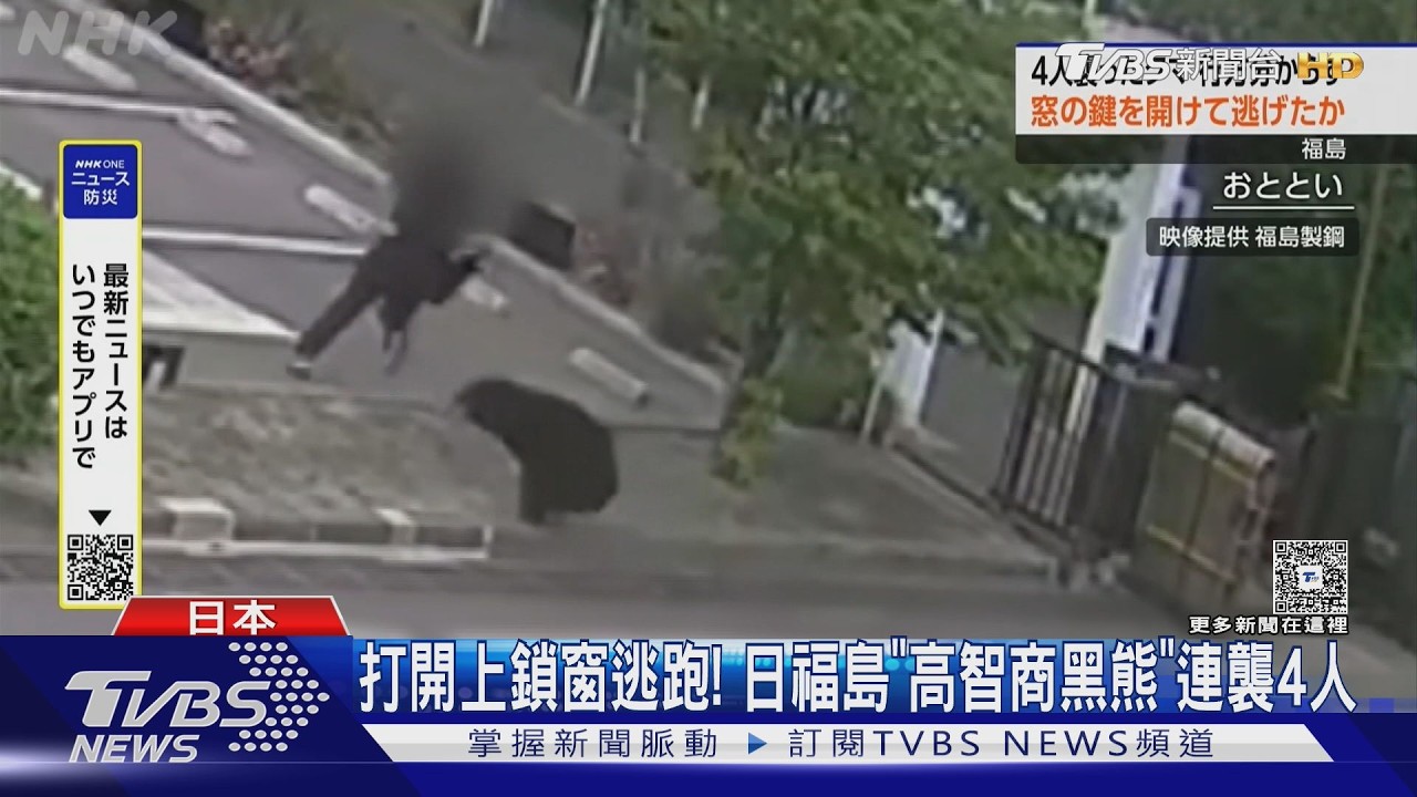 影音/開鎖逃!日福島襲人黑熊高智商 還會轉水龍頭