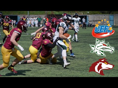 CEFL SBB Vukovi - Danube Dragons Vienna