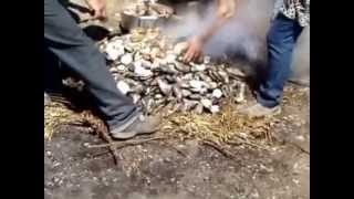 preview picture of video 'Curanto traditionnel (2) Fin de cuisson'