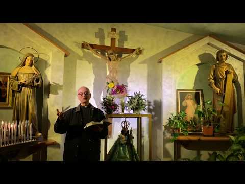Don Rocco Medita Ad Alta Voce:Riflessione Settimanale.