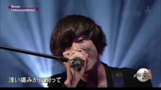 ワタリドリ swan