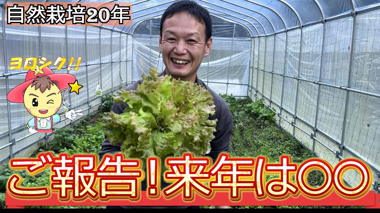 【自然栽培】2024年の活動実績と今後の展開、野菜収穫70倍の実証記録