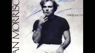 Van Morrison - Lifetimes