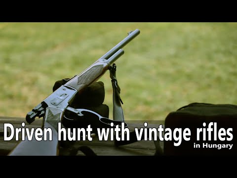 Vintage rifle driven hunt in Hungary