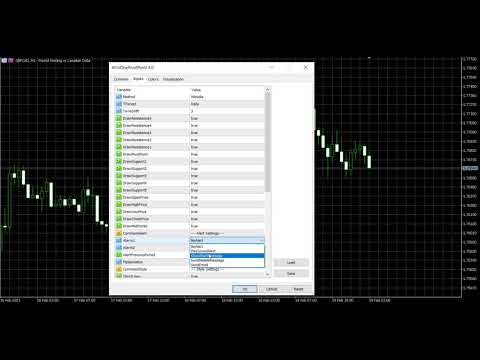 Video Pivot Point Expert