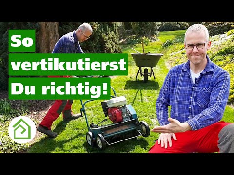 Rasen vertikutieren: So macht Ihr das richtig❗