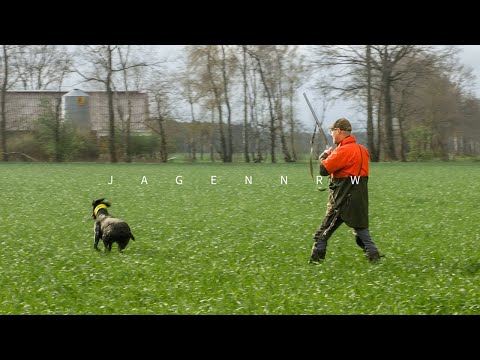 Bereit für die Jugendsuche? – die ersten 4 Minuten der VJP mit Patrick Rath – Hunt on Demand Trailer