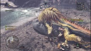 （MHW実況）調査団、始めましたpart2 ドスジャグラス対インパラ