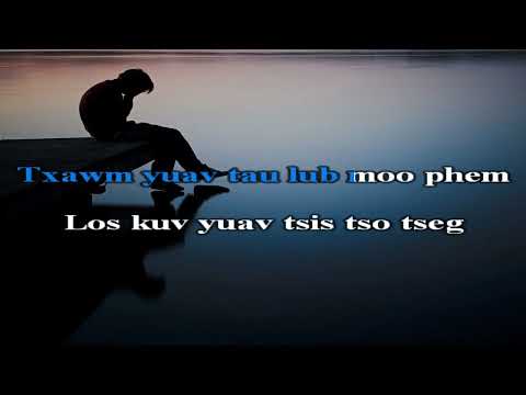 Ze Dub - Liam Vim Koj karaoke