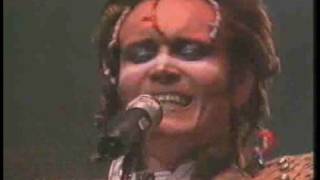 Adam &amp; The Ants, Killer in the home, live