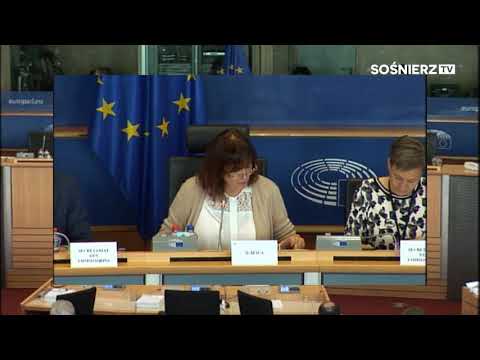 Demokracja według
