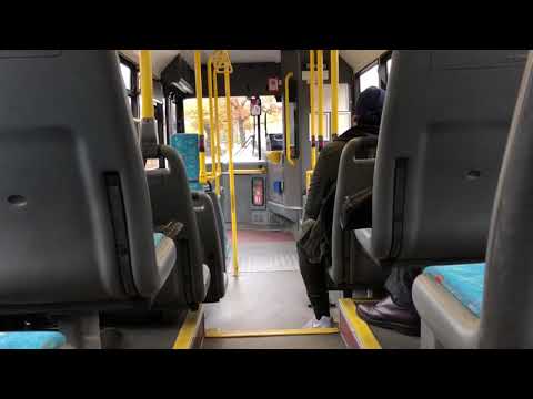 Transbus Mini Pointer Dart SLF KV03ZFW - Discount Travel Solutions 4