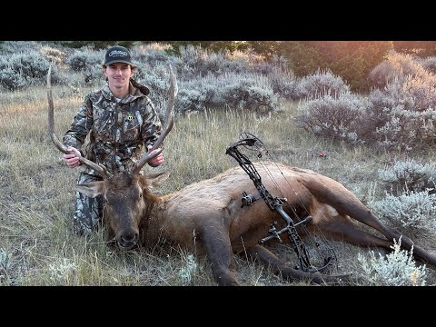 24 Hour Survival Challenge - Hunting, Fishing, & Survival Shelter