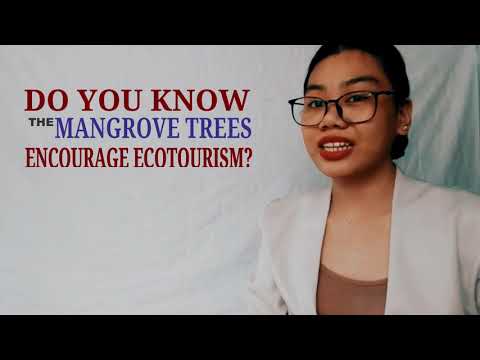 MANGROVES ENCOURAGE ECOTOURISM