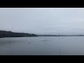 Loon Feeding Frenzy On Lake Jocassee
