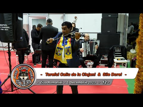 Taraful Caliu de la Clejani & Sile Dorel - 12 - Ziua Romaniei 1 Decembrie 2023