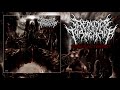 The Outer Tormentor USA Sacrificial Torment 2019 Full Album