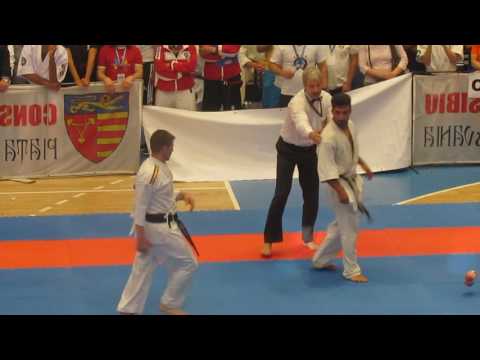IFK 5th World Tournament Karate knockdown - Florin Sabo VS Seyed Yousef Hosseini
