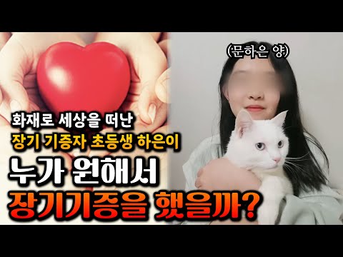 아이콘
