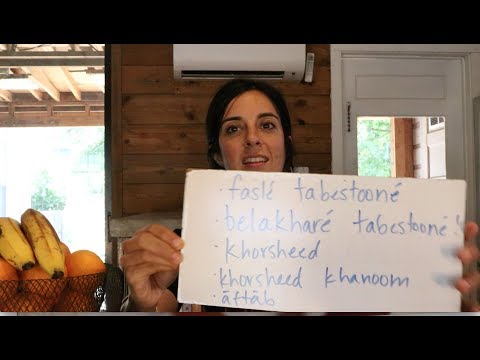 Learn Persian Word of the Day 3 - Review of Week 1!