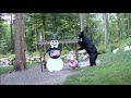 EarthCam Live Snowman Cam Animals And Wildlife Gaylord Michigan