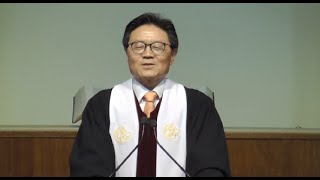 증인의 삶 ('The Life of a Witness')