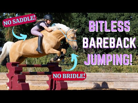 BITLESS BAREBACK JUMPING! NO BRIDLE + NO SADDLE!