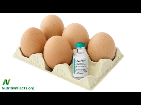 Plant Based Diets and Diabetes