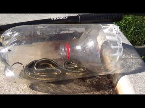 Bottle snake trap