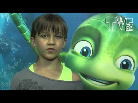 Zaproszenie na koncert