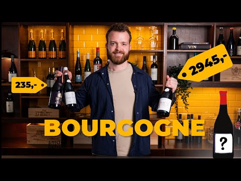 3000 kr. vs 235 kr. Bourgogne - Kan sommelieren blindsmage forskellen?