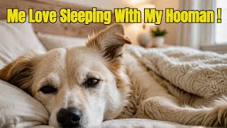 Should You Sleep with Your Dog? Pros, Cons & Expert Advice