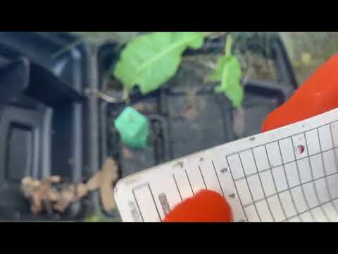 Checkin Up & Replenishing the Rodent Bait Stations in Belford, NJ