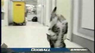 Equal parts tragic and uplifting.