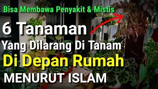 Download lagu HATI - HATI !! Inilah 6 Tanaman Yang Dilarang Ditanam Didepan Rumah Menurut Islam mp3