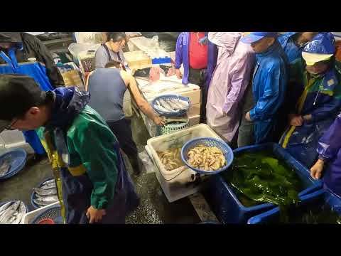 Kanzaiding Maca Baibei Yiqibosha mercado de pescado y marisco Mercado de pescado de Keelung / Puerto pesquero de Taiwán / 대만 생선 항구