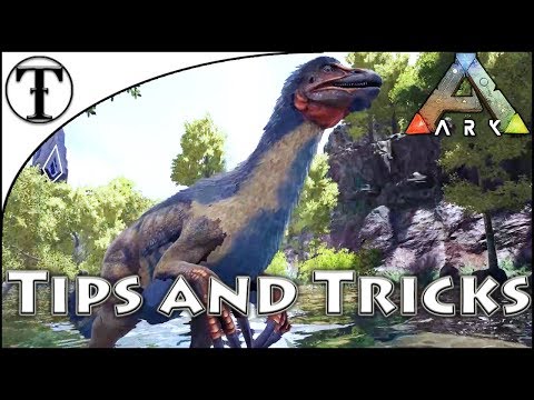 fastest travel dino ark