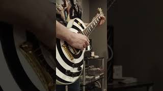 Bleed for me by Black Label Society #guitarriffs #heavymetal #zakkwylde