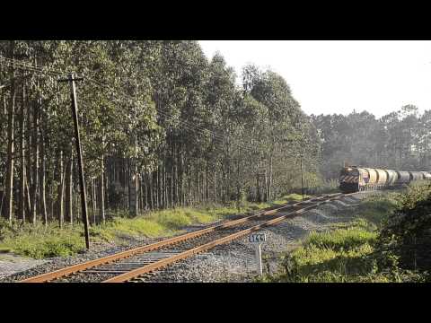 CP 1973 · 51631 · Martingança · 16.03.2014
